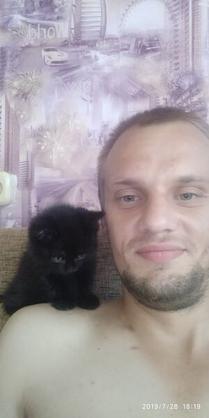  ,   , 34 ,  