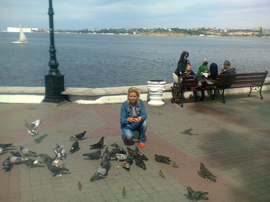  ,   , 48 ,   ,   