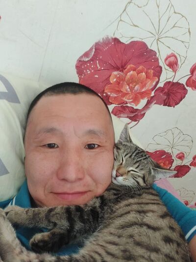  ,   , 43 ,   ,   