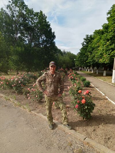  ,   , 51 ,     , c 