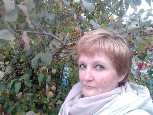  ,   , 58 ,  