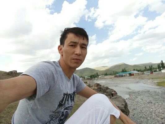  ,   Erla, 41 ,     , c 