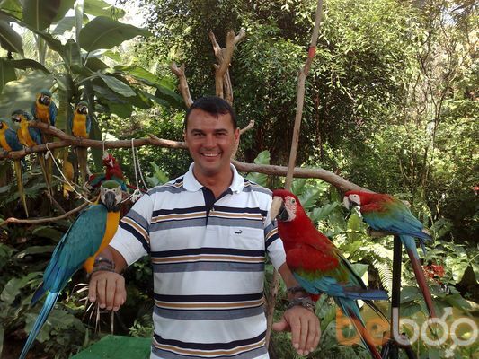  ,   Denis, 50 ,   ,   , c 