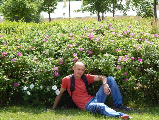  ,    , 41 ,   