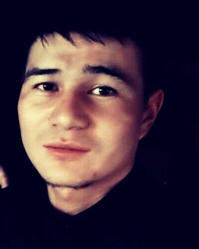  ,   Hamitovich, 29 ,   ,   , c 