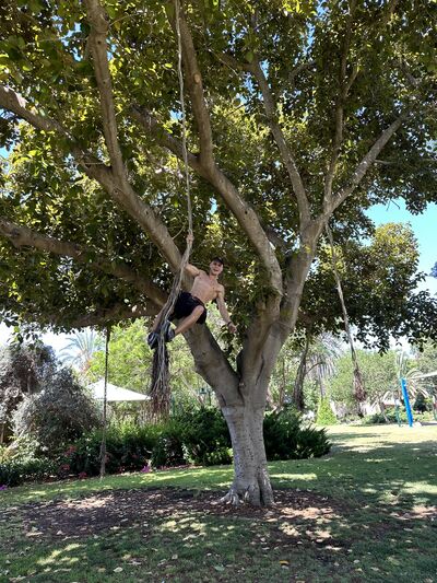  Rishon LeZiyyon,   , 30 ,   ,   , c , 