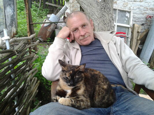 ,   , 54 ,   