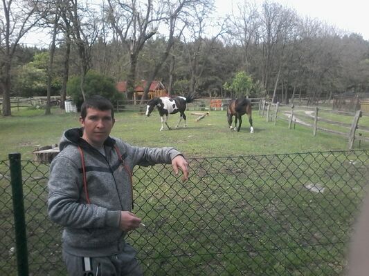  ,   Sergei, 32 ,   ,   , c , 