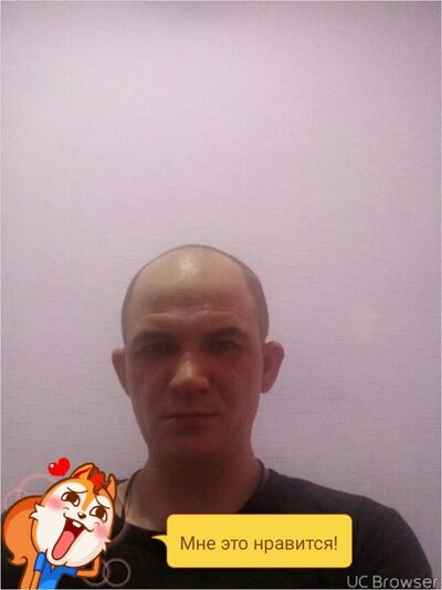  --,   , 41 ,   