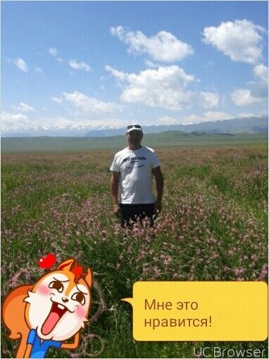  10007964  Tolkun, 50 ,    