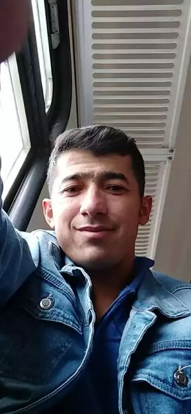  ,   What wolf, 31 ,   ,   