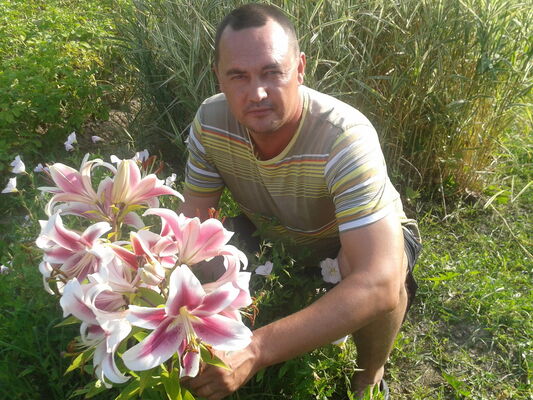  ,   , 53 ,   ,   , c 