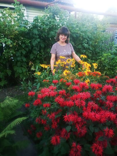  ,   , 62 ,   ,   , c 