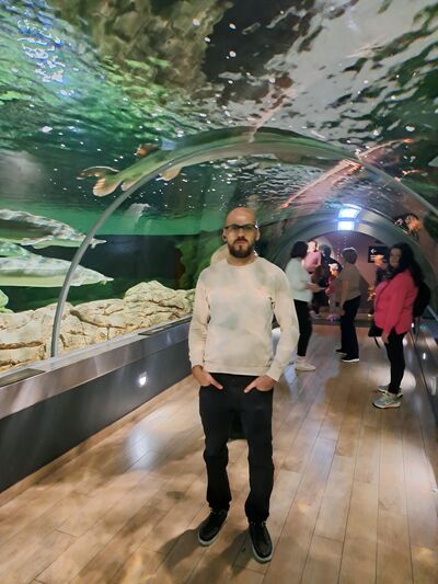  Turnhout,   Mahir, 35 ,   ,   , 