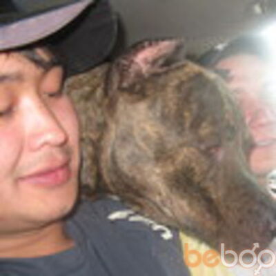  ,   Arman, 38 ,   ,   , c 