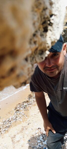  ٸ,   Alexander, 35 ,   ,   