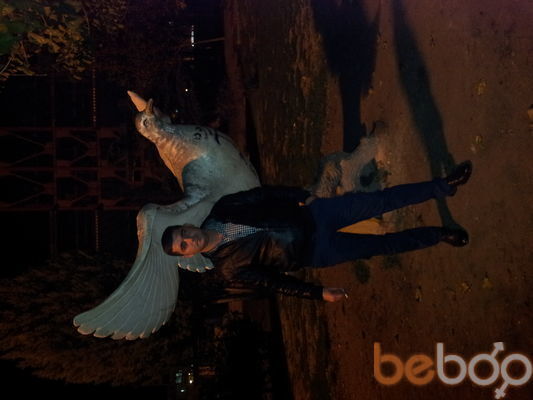 ���������� ����, ���� ������� Syoma, 40 ���, ������������ 