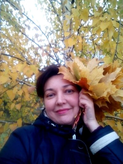  ,   , 49 ,     