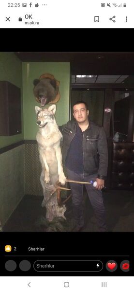  ,   Sardorbek, 31 ,   ,   , c 