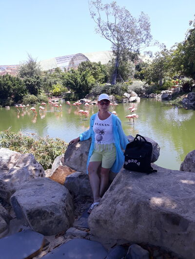  ,   , 62 ,   ,   , c 
