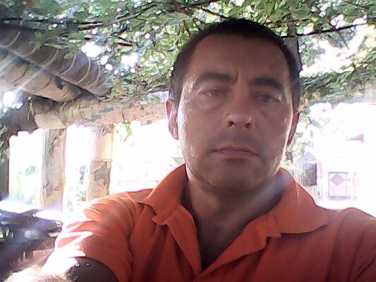  ,   , 51 ,   