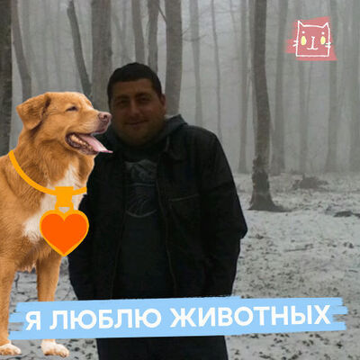  ,   Grigor, 41 ,   ,   