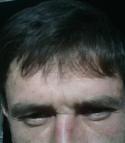  ,   , 44 ,  