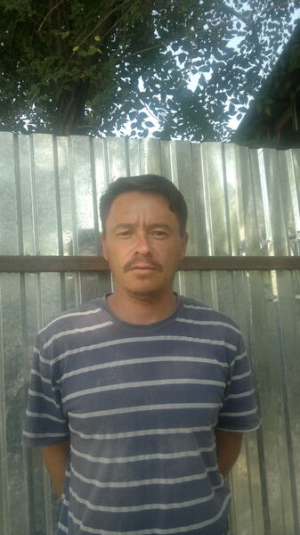  ,   , 46 ,   