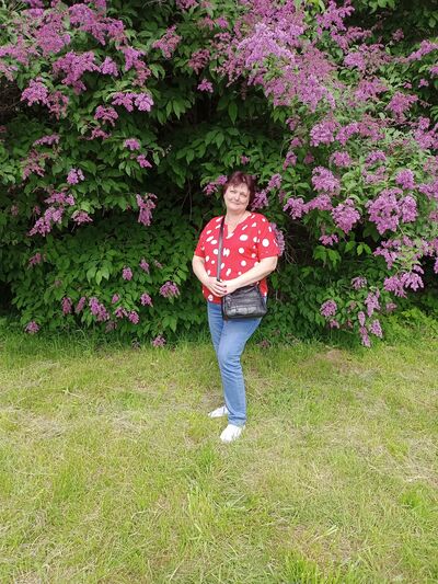   ,   , 58 ,  