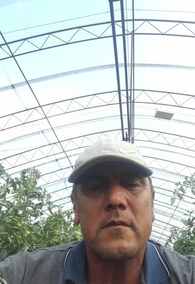  ,   , 50 ,   ,   