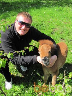  ,   Shanson, 39 ,   