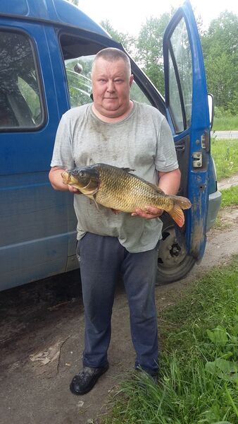  Moscow,   , 51 ,   ,   , c 