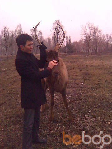 -,   Maksat, 34 ,     , c 