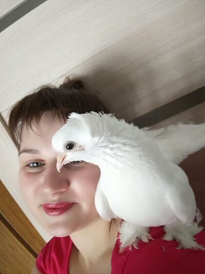  ,   , 37 ,   c 