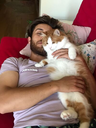  Ortakoy,   Gogo, 29 ,   ,   