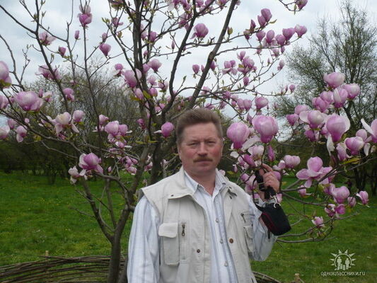  ,   , 65 ,   ,   , c 