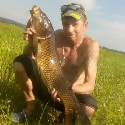  ,   , 53 ,   ,   , c 