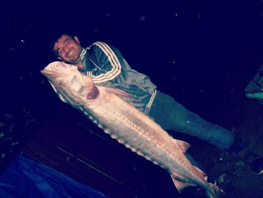  ,   Mamuka, 51 ,   ,   , c 