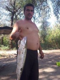  ,   , 50 ,   