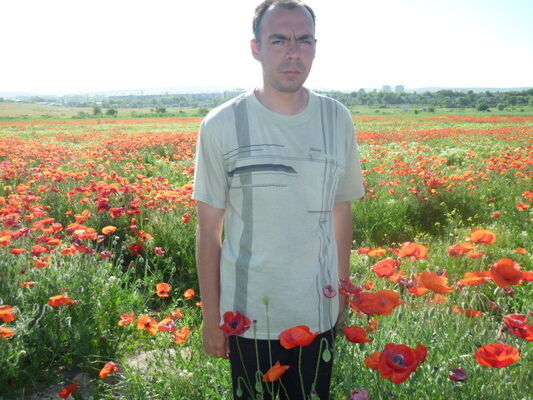 ,   , 42 ,   