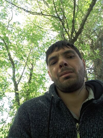  ,   , 38 ,   ,   