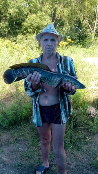  ,   , 60 ,   ,   