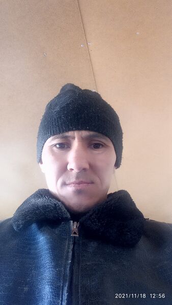  ,   Alimardon, 36 ,     , c 