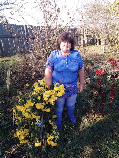  ,   , 62 ,  