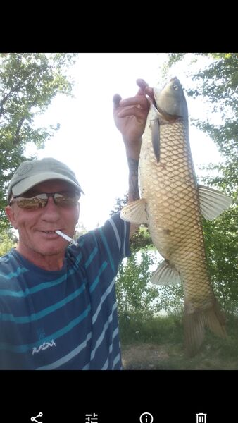  Skarzysko-Kamienna,   Tariel, 54 ,   ,   