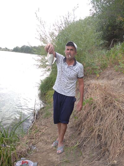  ,   , 54 ,   ,   , 