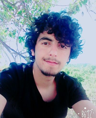  -,   , 31 ,   ,   