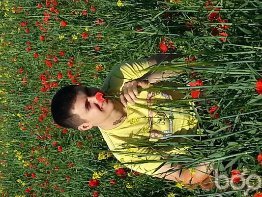 ���������� ������, ���� ������� �����, 37 ���, ������������ ��� ������