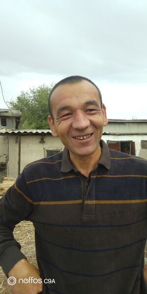  ,   NUR, 45 ,   ,   , c 