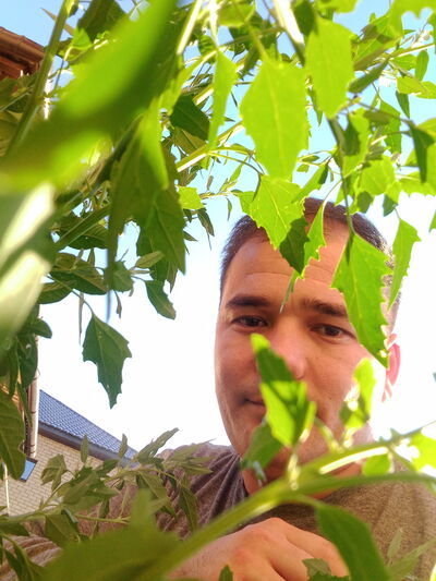  ,   , 32 ,   ,   
